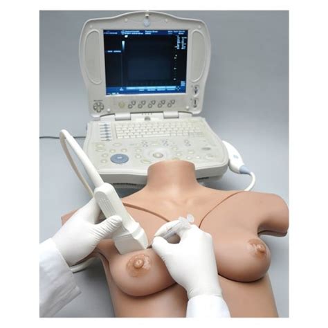 Breast Phantom Simulator Gaumard Scientific S