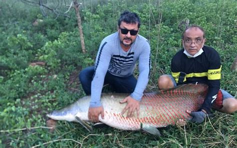 Peixe De Quilos Pescado Em A Ude De Cidade Do Cariri Paraibano