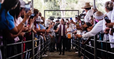 Vamos Arriba En Todas Las Encuestas Sheinbaum Desde Irapuato