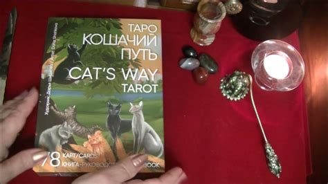 Таро Кошачий путь. Диагностика. Расклад "По какому пути следует идти ...
