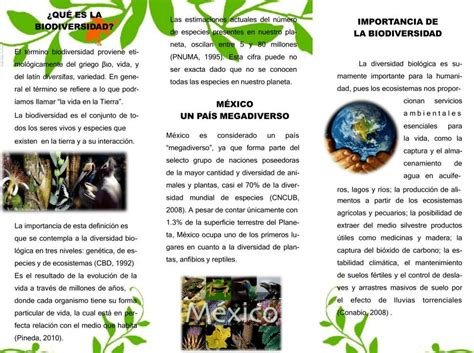 tríptico sobre el cuidado de la biodiversidad Brainly lat