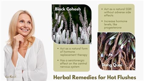 Acupuncture For Hot Flashes Why You Should Consider It GinSen