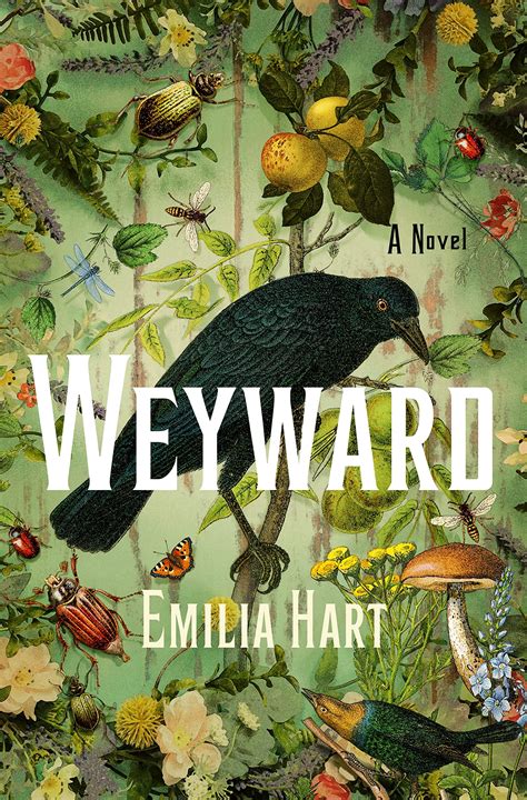 Weyward Emilia Hart Release Check Reads