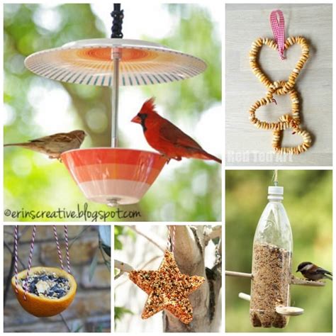 15 Bird Feeder Crafts - Red Ted Art - Kids Crafts