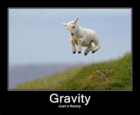 Funny Quotes About Gravity Quotesgram