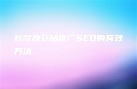 谷歌独立站推广seo的有效方法 Dtcstart