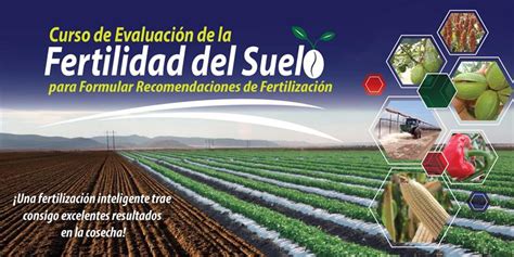 Importancia De Humus En La Fertilidad De Los Suelos Intagri S C