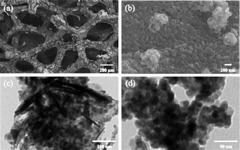 Photocatalytic Fuel Cell For Simultaneous Antibiotic Wastewater