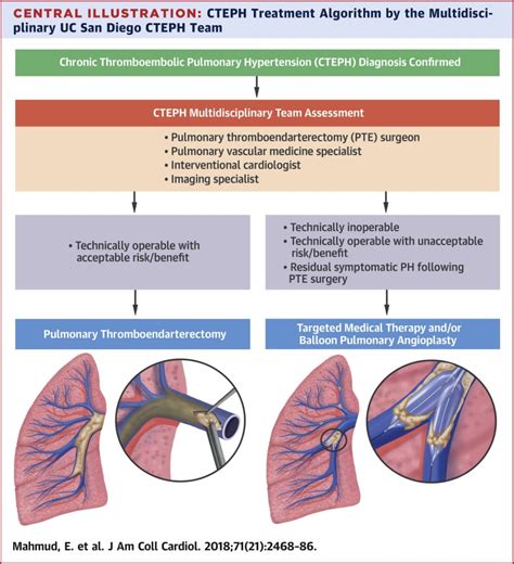 Chronic Thromboembolic Pulmonary Hypertension Journal Of The American