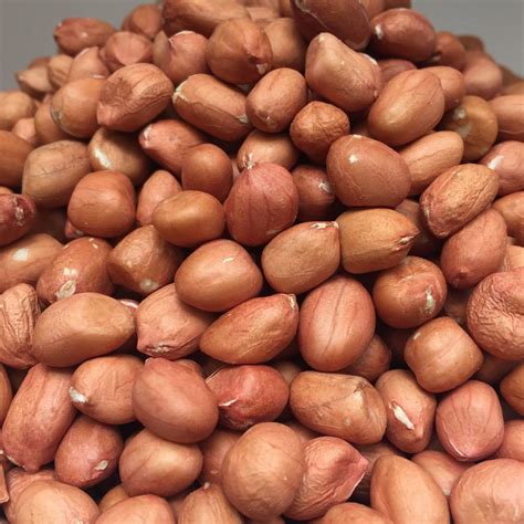 Buy Organic Raw Groundnuts At Shandy Organic Store In Chennai