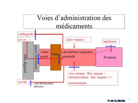 PPT Cours de Pharmacologie générale Chapitre 2 Les voies d