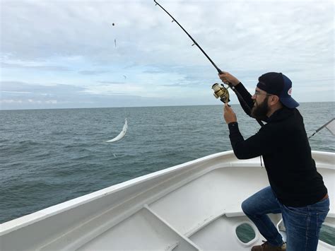 Vedettes Baie de Seine Pêche en mer