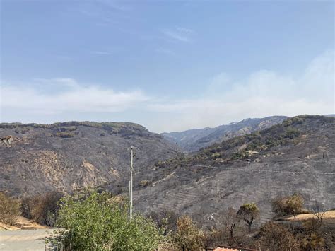 Disastro Incendi Viaggio Nell Apocalisse Dell Aspromonte La