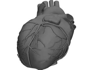 Heart CAD Model - 3DCADBrowser