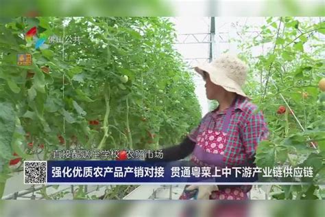 强化优质农产品产销对接 贯通粤菜上中下游产业链供应链产销农产品产业链