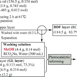 Outline for preparation of BDF and the follow‐up process. | Download Scientific Diagram