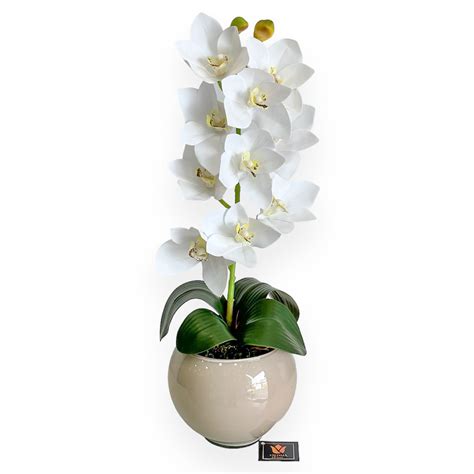 Arranjo De Orqu Dea Cymbidium Branca Em Vaso Nude Vienna Home Arranjos Decora Es E Cozinha