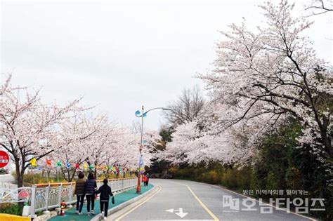 목포시 유달산 봄 축제 전면 취소 호남타임즈