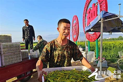 大同，让“致富花”越开越艳！ 大同频道 黄河新闻网