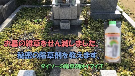 お墓の雑草をせん滅 秘密の除草剤教えます ダイソーのはイマイチ スーパーストレッチ