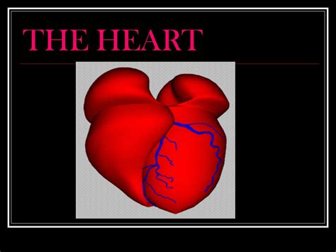 Ppt The Heart Powerpoint Presentation Free Download Id 376274