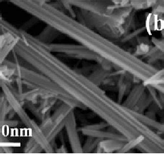 The Sem Images Of Prepared Mno A Nanorods B Nanobelts And C Layered