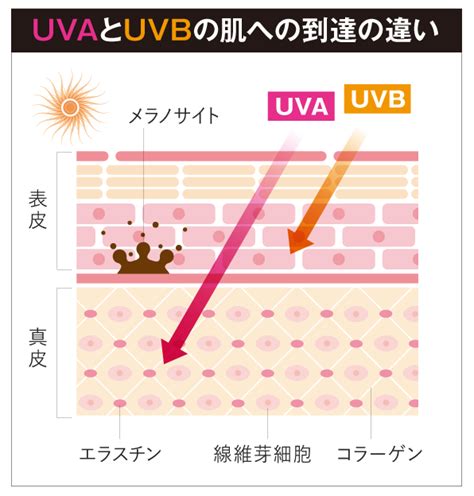 紫外線uvaが最大量 5月の紫外線にはご用心