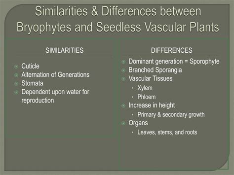 Ppt Kingdom Plantae Chapter Plant Diversity How Plants