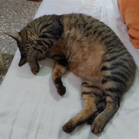 自介 看板 gay 批踢踢實業坊