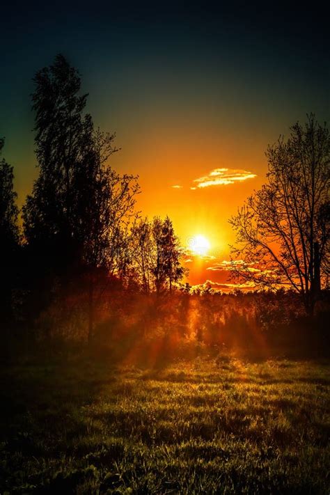 Beautiful Sunset in the Forest Meadow Stock Image - Image of park, dark: 183600911