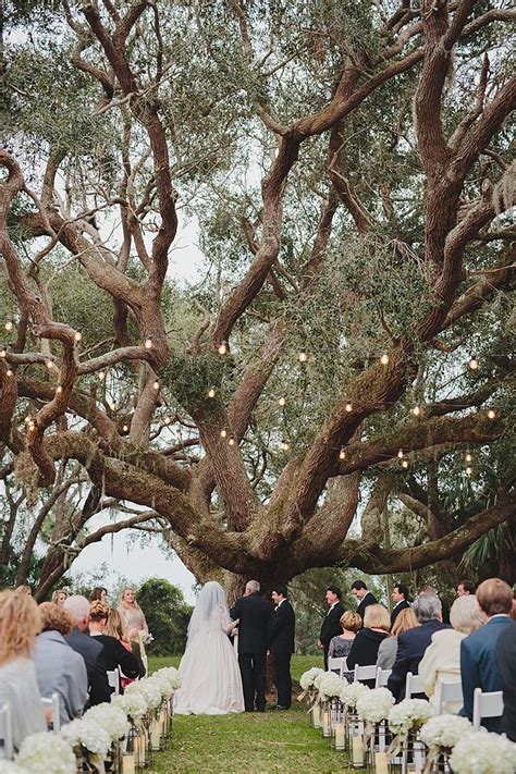 Magical Wedding Ceremony Beneath An Oak Tree In Florida Oak Tree