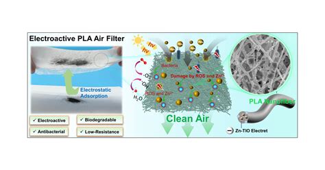 Electroactive Antibacterial And Biodegradable Poly Lactic Acid