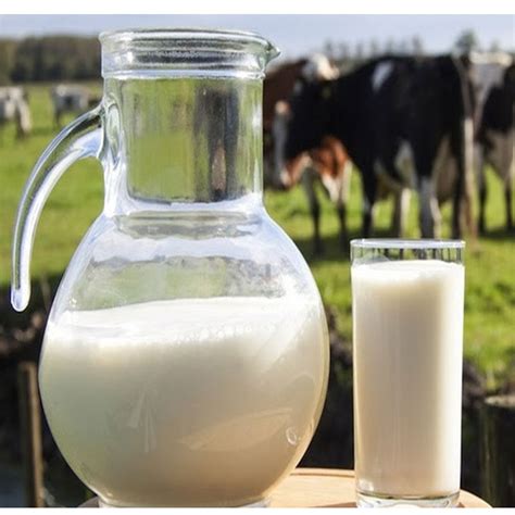 Raw Milk - Gallon - River Cottage Farm