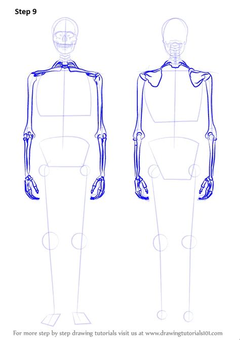 Learn How to Draw a Skeleton (Everyday Objects) Step by Step : Drawing ...