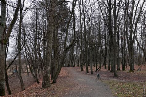 Фотобродилки | Высокое, Беларусь: самый западный город