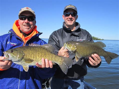 Smallmouth Bass Fishing In Ontario Canada Andy Myers Lodge