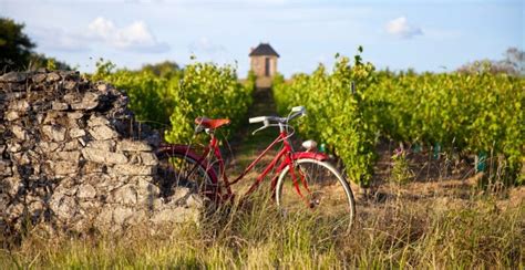 The 12 Best Wine Tours From Bordeaux Picked By A Wine Geek Eternal