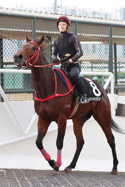 【安田記念・山下の特注馬】香港のエース・ロマンチックウォリアーが日本馬を圧倒する スポーツ報知