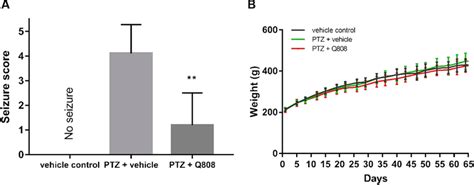 Effects Of Q On Ptz Kindling Induced A Seizure Stage And B Body