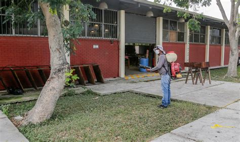 Escuelas De Ciudad Madero Beneficiadas Con Programa De Fumigaci N Y