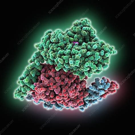 Heterotrimeric G Protein Complex Molecule Stock Image C0251602