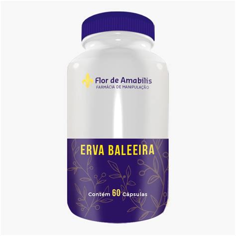 Erva Baleeira 500mg 60 cápsulas Farmácia de Manipulação Flor de