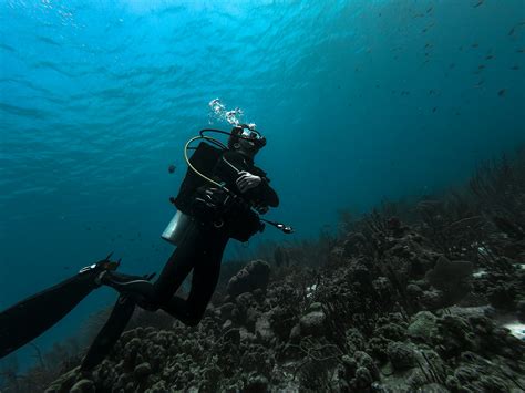 Diving in the Cayman Islands