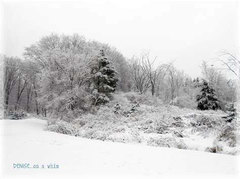 denise...on a whim: Winter Solstice Ice Storms