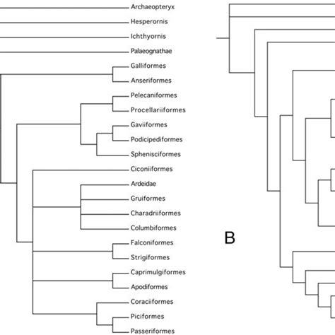 Molecular Phylogenetic Trees Proposed In Previous Studies See Fig 1