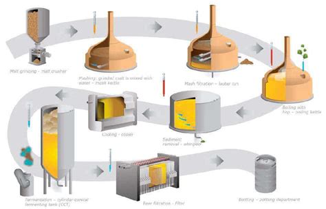 Il Processo Produttivo Della Birra La Storia