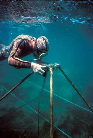 Pat Baker using the photo-tower to capture stereoscopic-overlapping... | Download Scientific Diagram