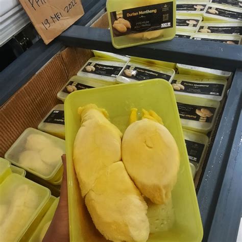 Jual Durian Montong Palu Parigi Montong Bali Shopee Indonesia