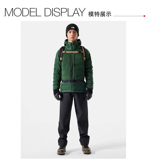 The North Face 北面 男款綠色防潑水保暖可打包連帽羽絨外套83s2i0p Pchome 24h購物