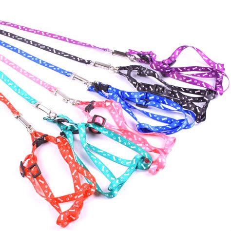 Arn S Ajustable De Nailon Con Correa De Plomo Para Perro Y Gato Collar